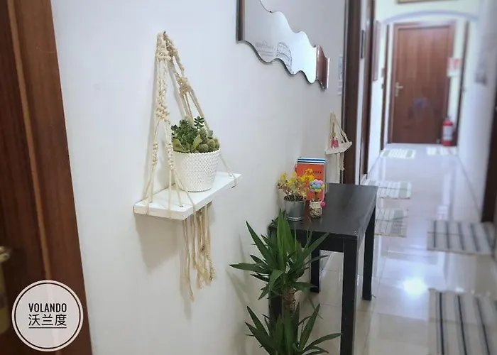 Hostal Volando Roma
