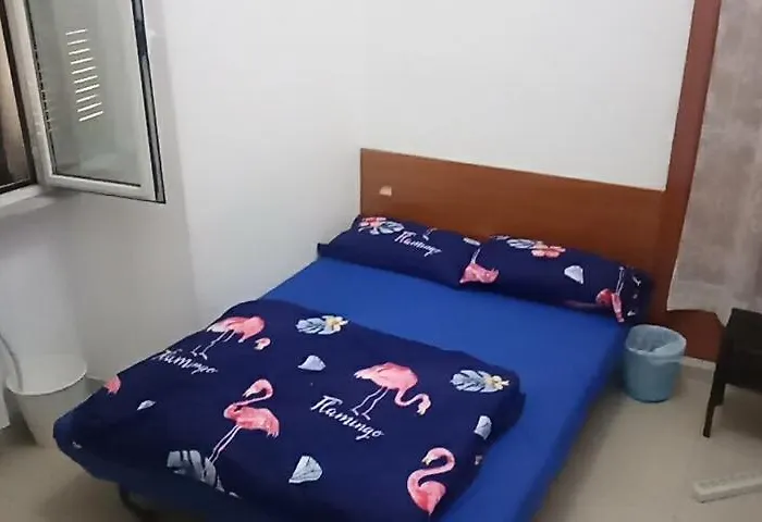 Hostal Volando *